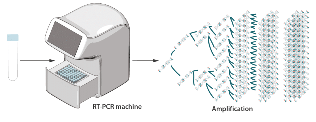 RT-PCR用の機械によるRT増幅